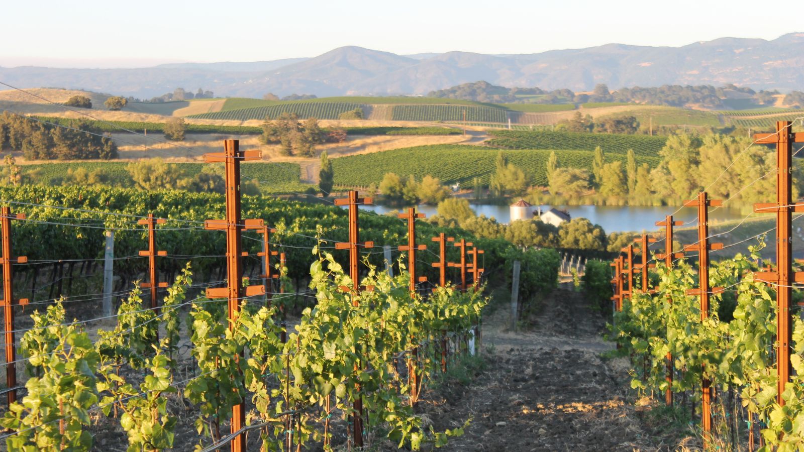 Napa Valley, California