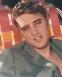 Elvis 1954 During Career Launch