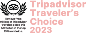 TripAdvisor traveler's choice award 2023