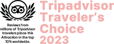 TripAdvisor traveler's choice award 2023